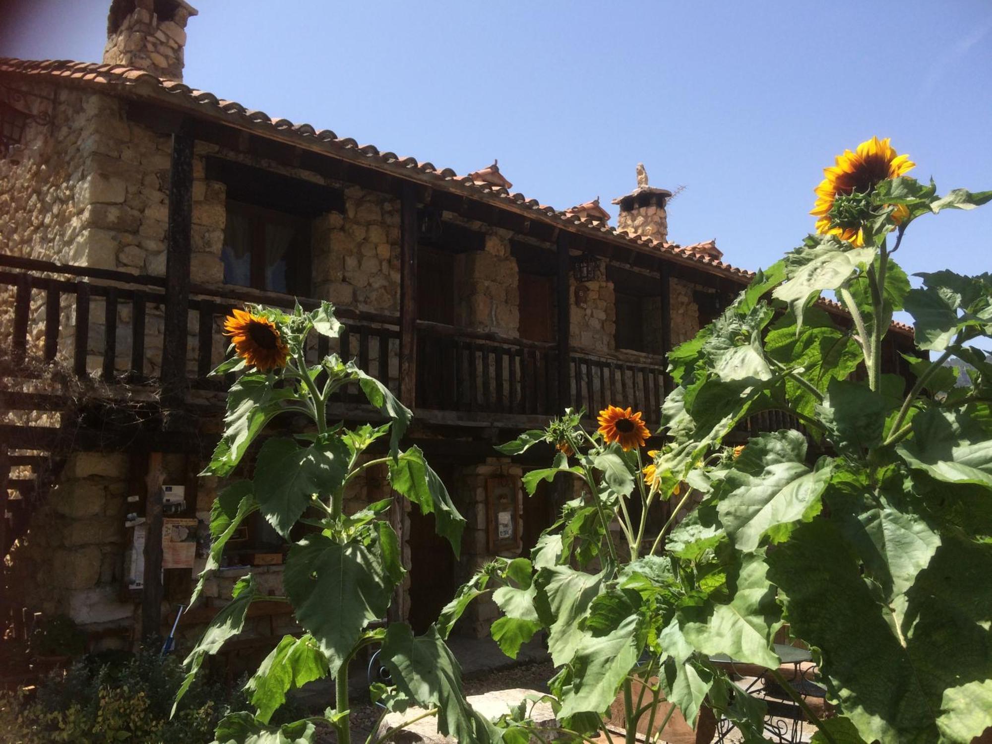 פראלחוס דה לאס טרוצ'אס Casas Rurales Chon Alto Tajo מראה חיצוני תמונה